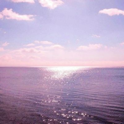 42982金牛网论坛下载手机版